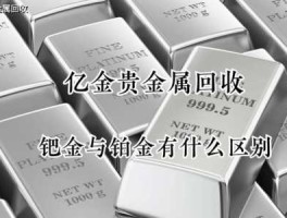 钯金现在多少钱一克（钯金现在多少钱一克?pd950）