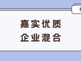 嘉实优质企业070099今日净值（嘉实优质企业基金净值007099）