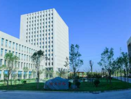 300259股票，新天科技有限公司怎么样？